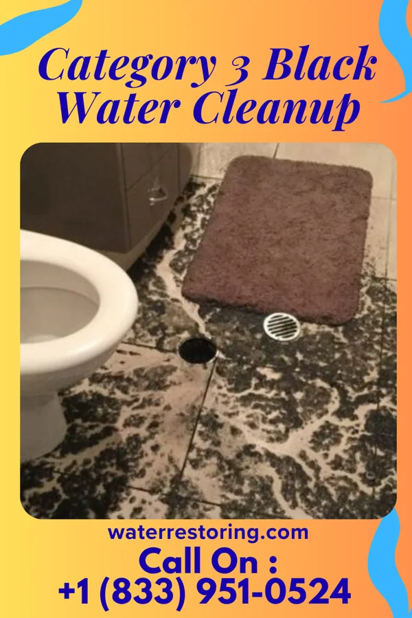 Category 3 Black Water Cleanup in Lake Heritage, PA